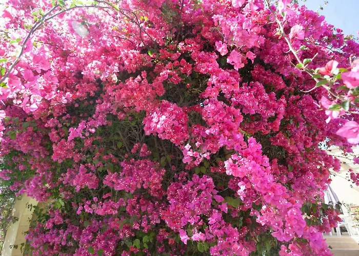 Satori Gozo Centre - Ibo 别墅